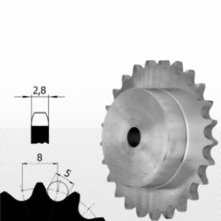 05B-2 Roata dubla dintata cu butuc pentru lant gall cu role