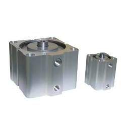 Ø20 Cilindri pneumatici cursa scurta, dublu efect, magnetic, neamortizat