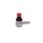 Regulator presiune + cuplaj rapid - FR830014